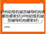 泸州初级机械员辅导机构有哪些哪家好(泸州初级机械员辅导机构哪家好)