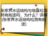 张家界水运结构与地基检测师有前途吗,为什么?详解(张家界水运结构检测有前途)