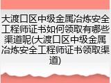 大渡口区中级金属冶炼安全工程师证书如何领取有哪些渠道呢(大渡口区中级金属冶炼安全工程师证书领取渠道)