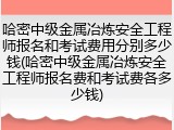 哈密中级金属冶炼安全工程师报名和考试费用分别多少钱(哈密中级金属冶炼安全工程师报名费和考试费各多少钱)