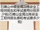 石嘴山中级金属冶炼安全工程师报名和考试费用分别多少钱(石嘴山金属冶炼安全工程师报名费和考试费多少钱)