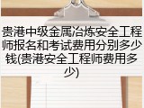 贵港中级金属冶炼安全工程师报名和考试费用分别多少钱(贵港安全工程师费用多少)