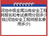 河池中级金属冶炼安全工程师报名和考试费用分别多少钱(河池安全工程师报名费用多少)