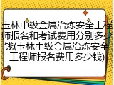 玉林中级金属冶炼安全工程师报名和考试费用分别多少钱(玉林中级金属冶炼安全工程师报名费用多少钱)