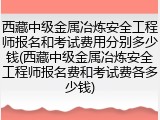 西藏中级金属冶炼安全工程师报名和考试费用分别多少钱(西藏中级金属冶炼安全工程师报名费和考试费各多少钱)
