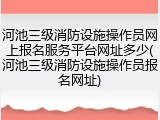 河池三级消防设施操作员网上报名服务平台网址多少(河池三级消防设施操作员报名网址)