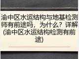 渝中区水运结构与地基检测师有前途吗,为什么?详解(渝中区水运结构检测有前途)