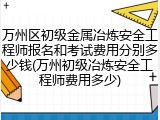 万州区初级金属冶炼安全工程师报名和考试费用分别多少钱(万州初级冶炼安全工程师费用多少)