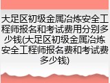 大足区初级金属冶炼安全工程师报名和考试费用分别多少钱(大足区初级金属冶炼安全工程师报名费和考试费多少钱)