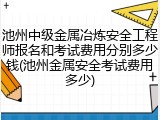 池州中级金属冶炼安全工程师报名和考试费用分别多少钱(池州金属安全考试费用多少)