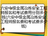 六安中级金属冶炼安全工程师报名和考试费用分别多少钱(六安中级金属冶炼安全工程师报名费和考试费多少钱)