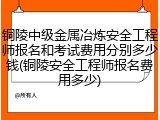 铜陵中级金属冶炼安全工程师报名和考试费用分别多少钱(铜陵安全工程师报名费用多少)
