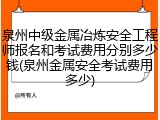 泉州中级金属冶炼安全工程师报名和考试费用分别多少钱(泉州金属安全考试费用多少)