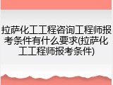 拉萨化工工程咨询工程师报考条件有什么要求(拉萨化工工程师报考条件)