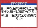 唐山中级金属冶炼安全工程师报名和考试费用分别多少钱(唐山金属安全考试费用多少)