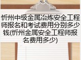 忻州中级金属冶炼安全工程师报名和考试费用分别多少钱(忻州金属安全工程师报名费用多少)