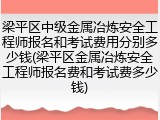 梁平区中级金属冶炼安全工程师报名和考试费用分别多少钱(梁平区金属冶炼安全工程师报名费和考试费多少钱)