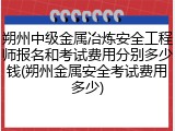 朔州中级金属冶炼安全工程师报名和考试费用分别多少钱(朔州金属安全考试费用多少)