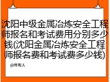 沈阳中级金属冶炼安全工程师报名和考试费用分别多少钱(沈阳金属冶炼安全工程师报名费和考试费多少钱)