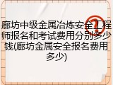 廊坊中级金属冶炼安全工程师报名和考试费用分别多少钱(廊坊金属安全报名费用多少)