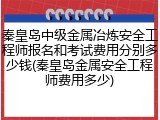 秦皇岛中级金属冶炼安全工程师报名和考试费用分别多少钱(秦皇岛金属安全工程师费用多少)