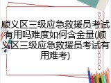 顺义区三级应急救援员考试有用吗难度如何含金量(顺义区三级应急救援员考试有用难考)