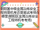朝阳区中级金属冶炼安全工程师是机考还是笔试考场在哪里(朝阳区金属冶炼安全工程师机考考场)