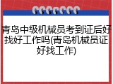 青岛中级机械员考到证后好找好工作吗(青岛机械员证好找工作)