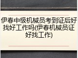 伊春中级机械员考到证后好找好工作吗(伊春机械员证好找工作)