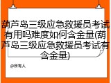 葫芦岛三级应急救援员考试有用吗难度如何含金量(葫芦岛三级应急救援员考试有含金量)