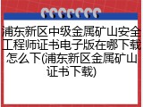 浦东新区中级金属矿山安全工程师证书电子版在哪下载怎么下(浦东新区金属矿山证书下载)