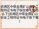 武清区中级金属矿山安全工程师证书电子版在哪下载怎么下(武清区中级金属矿山安全工程师证书电子版下载)