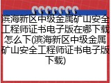滨海新区中级金属矿山安全工程师证书电子版在哪下载怎么下(滨海新区中级金属矿山安全工程师证书电子版下载)
