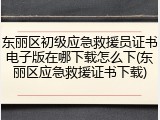 东丽区初级应急救援员证书电子版在哪下载怎么下(东丽区应急救援证书下载)