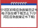 宁河区初级应急救援员证书电子版在哪下载怎么下(宁河区应急救援证书下载)