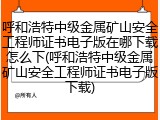 呼和浩特中级金属矿山安全工程师证书电子版在哪下载怎么下(呼和浩特中级金属矿山安全工程师证书电子版下载)