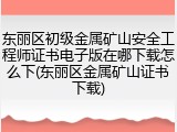 东丽区初级金属矿山安全工程师证书电子版在哪下载怎么下(东丽区金属矿山证书下载)