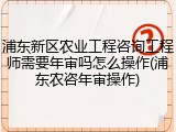 浦东新区农业工程咨询工程师需要年审吗怎么操作(浦东农咨年审操作)