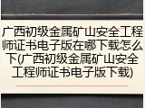 广西初级金属矿山安全工程师证书电子版在哪下载怎么下(广西初级金属矿山安全工程师证书电子版下载)