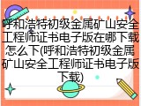 呼和浩特初级金属矿山安全工程师证书电子版在哪下载怎么下(呼和浩特初级金属矿山安全工程师证书电子版下载)