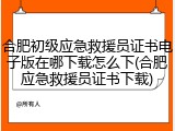 合肥初级应急救援员证书电子版在哪下载怎么下(合肥应急救援员证书下载)