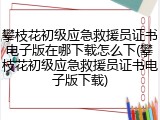 攀枝花初级应急救援员证书电子版在哪下载怎么下(攀枝花初级应急救援员证书电子版下载)