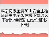 咸宁初级金属矿山安全工程师证书电子版在哪下载怎么下(咸宁金属矿山安全证书下载)