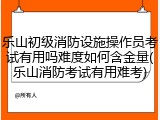 乐山初级消防设施操作员考试有用吗难度如何含金量(乐山消防考试有用难考)