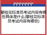 攀枝花标准员考试内容有哪些具体是什么(攀枝花标准员考试内容有哪些)