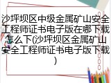 沙坪坝区中级金属矿山安全工程师证书电子版在哪下载怎么下(沙坪坝区金属矿山安全工程师证书电子版下载)