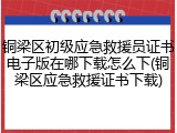 铜梁区初级应急救援员证书电子版在哪下载怎么下(铜梁区应急救援证书下载)