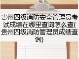 贵州四级消防安全管理员考试成绩在哪里查询怎么查(贵州四级消防管理员成绩查询)