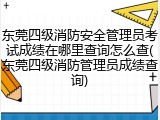 东莞四级消防安全管理员考试成绩在哪里查询怎么查(东莞四级消防管理员成绩查询)