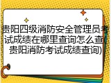 贵阳四级消防安全管理员考试成绩在哪里查询怎么查(贵阳消防考试成绩查询)